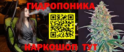 амф Нальчик