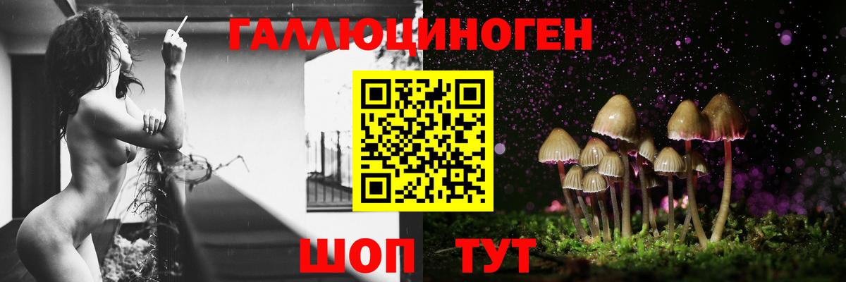 Троицк  Псилоцибиновые грибы мицелий  Псилоцибиновые грибы мухоморы  Вход с VPN 
